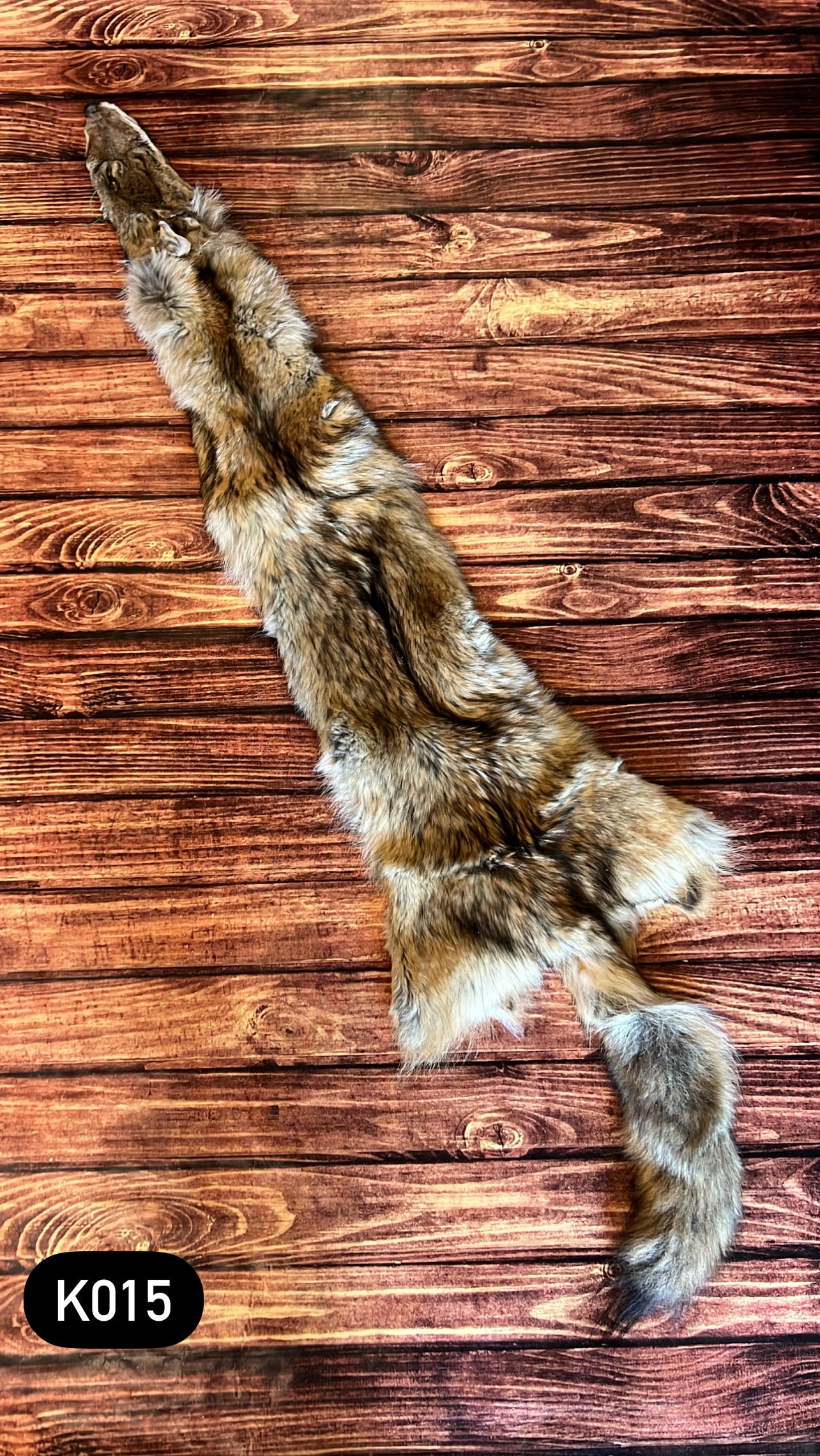 Missouri Coyote Fur