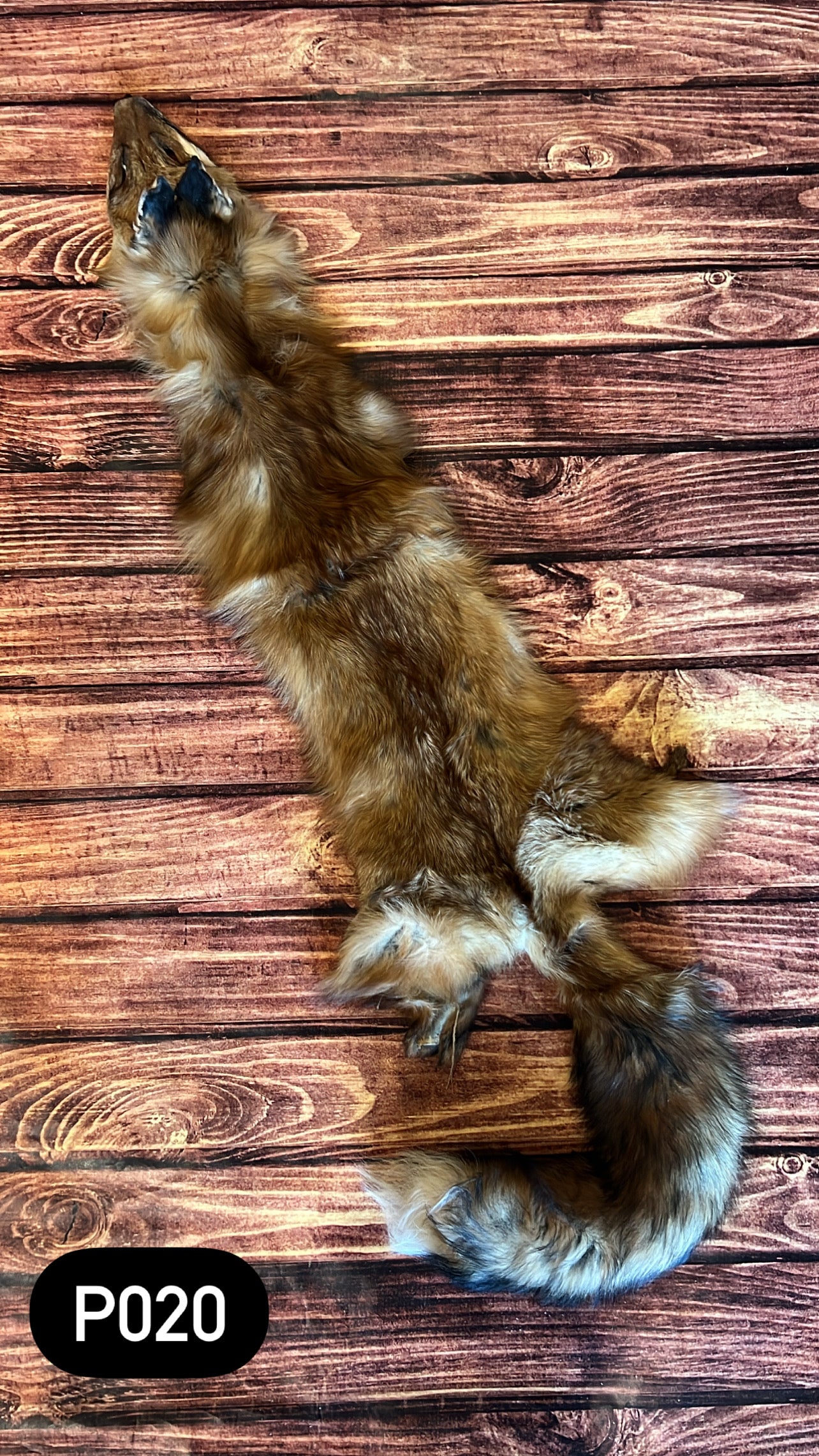 Missouri Red Fox Fur