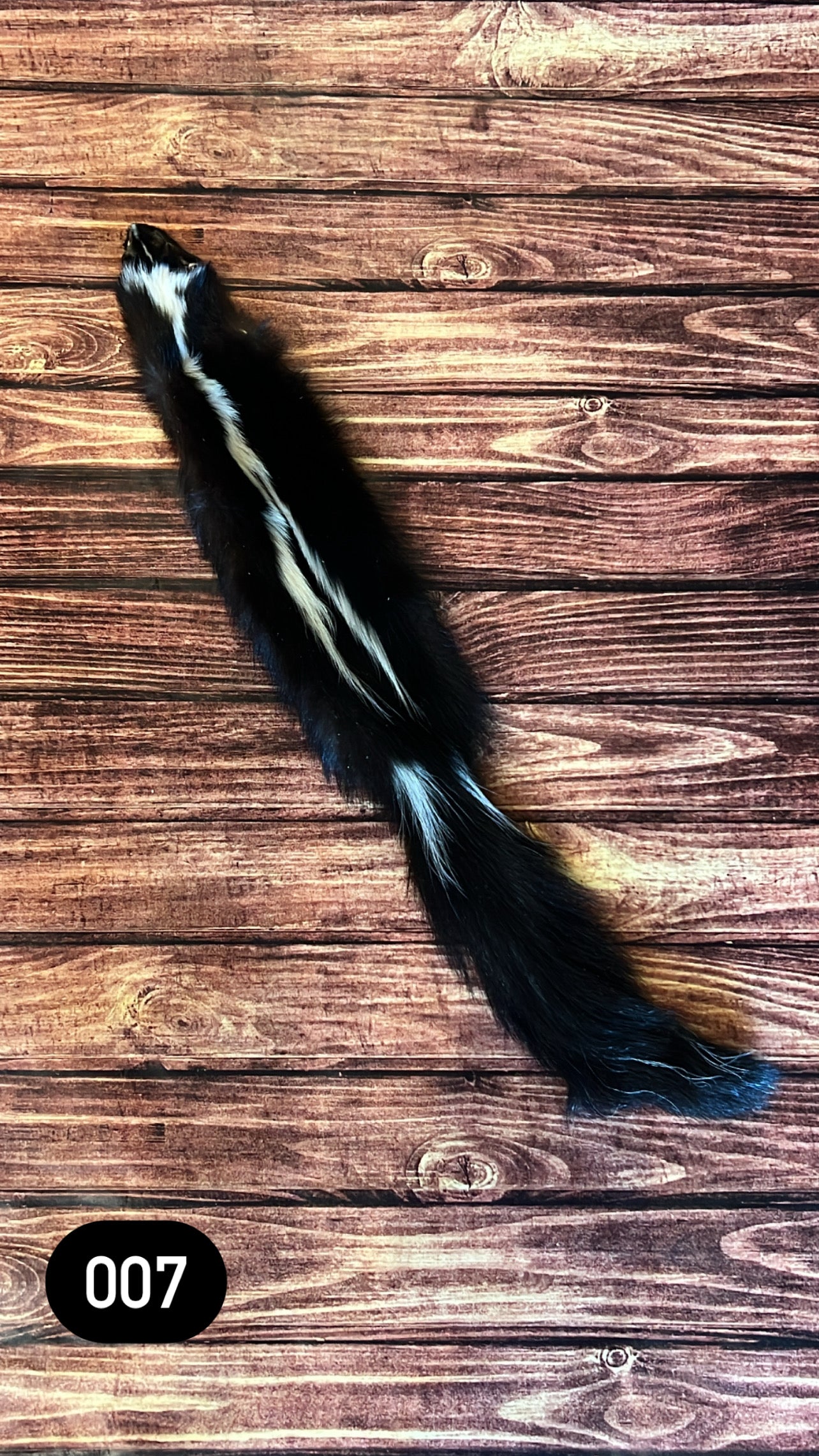 Missouri Skunk Fur